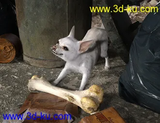 3D打印模型Chihuahua for Daz Dog 8 Brutus的图片