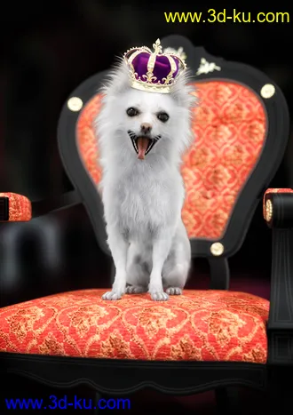 3D打印模型Chihuahua for Daz Dog 8 Brutus的图片