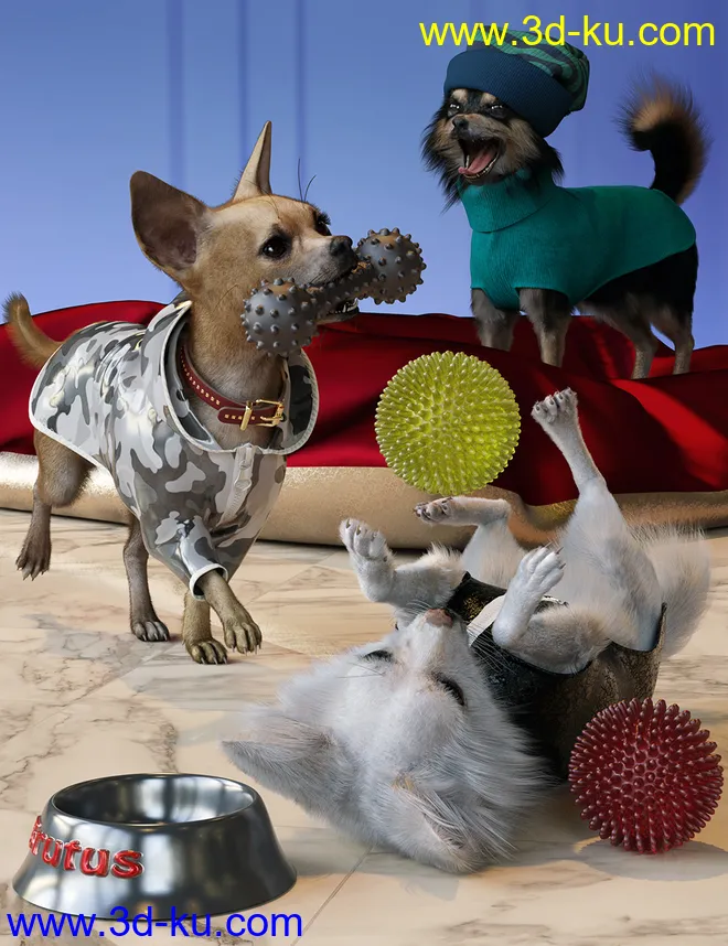 Chihuahua for Daz Dog 8 Clothes Accessories and Poses模型的图片1
