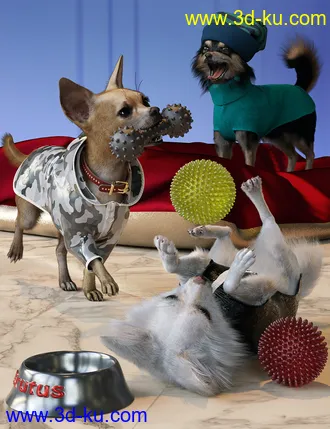 3D打印模型Chihuahua for Daz Dog 8 Clothes Accessories and Poses的图片