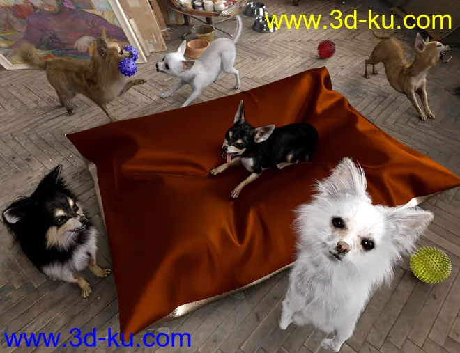 Chihuahua for Daz Dog 8 Clothes Accessories and Poses模型的图片2