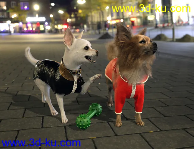 Chihuahua for Daz Dog 8 Clothes Accessories and Poses模型的图片3