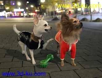 3D打印模型Chihuahua for Daz Dog 8 Clothes Accessories and Poses的图片