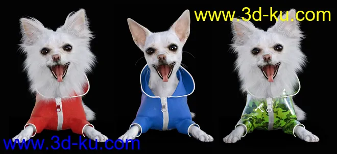 Chihuahua for Daz Dog 8 Clothes Accessories and Poses模型的图片7