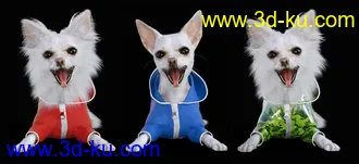 3D打印模型Chihuahua for Daz Dog 8 Clothes Accessories and Poses的图片