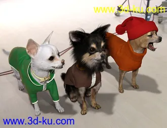3D打印模型Chihuahua for Daz Dog 8 Clothes Accessories and Poses的图片