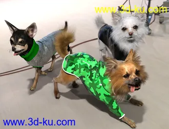 3D打印模型Chihuahua for Daz Dog 8 Clothes Accessories and Poses的图片