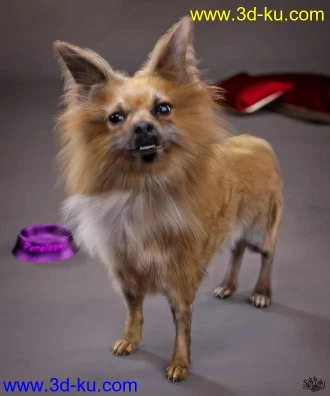 Chihuahua for Daz Dog 8 Penelope and Zorro Add-on模型的图片2
