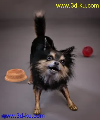 3D打印模型Chihuahua for Daz Dog 8 Penelope and Zorro Add-on的图片