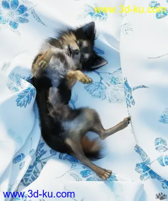 3D打印模型Chihuahua for Daz Dog 8 Penelope and Zorro Add-on的图片