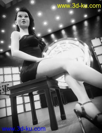 3D打印模型Chinese Studio Set的图片
