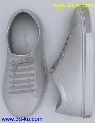 3D打印模型Classic and Walking Shoes for Genesis 8 and 8.1 Males的图片