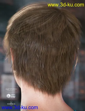 3D打印模型Colors for Justify Hair的图片