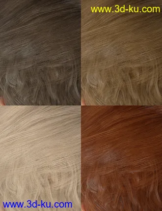 3D打印模型Colors for Justify Hair的图片