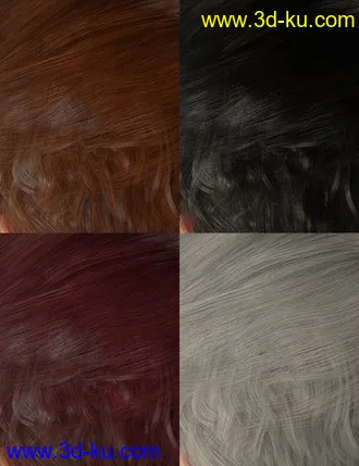 3D打印模型Colors for Justify Hair的图片