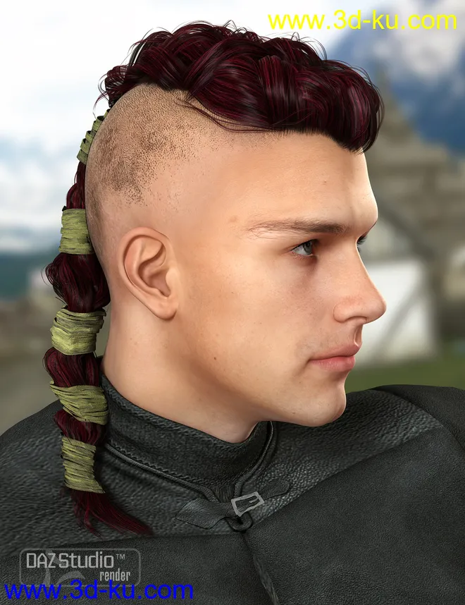 Colors for Viking Male Hair模型的图片1