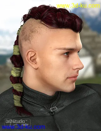 3D打印模型Colors for Viking Male Hair的图片