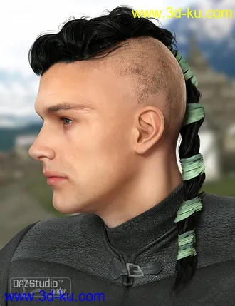 3D打印模型Colors for Viking Male Hair的图片
