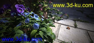 3D打印模型Courtyard Italia的图片