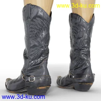 3D打印模型Cowgirl Leather Boots for Genesis 8 Female的图片