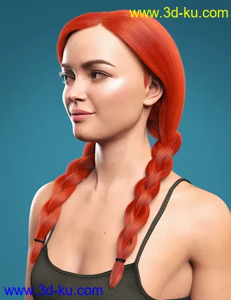 3D打印模型Cute Braids for Genesis 8 and 8.1 Females的图片
