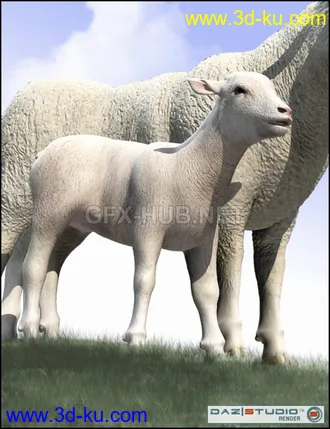 3D打印模型DAZ Lamb的图片