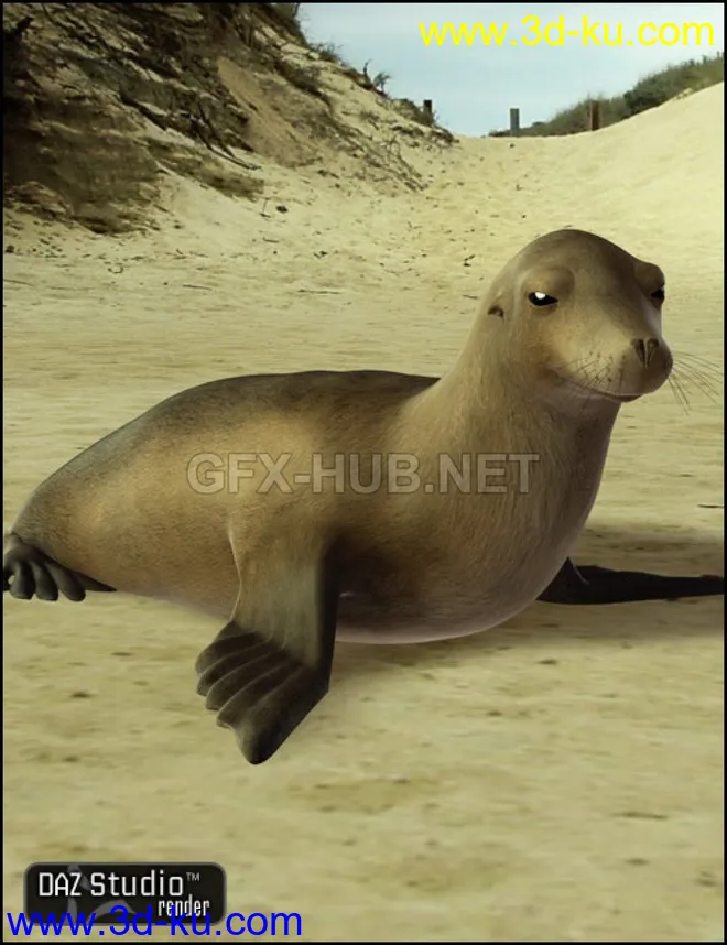 DAZ Seal模型的图片1