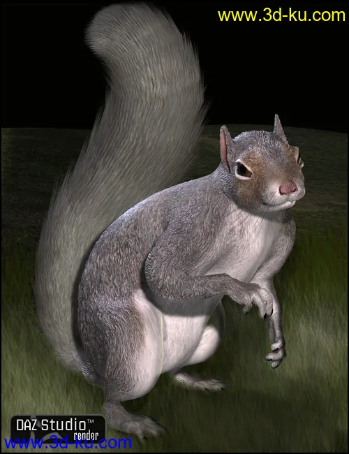 DAZ Squirrel模型的图片1