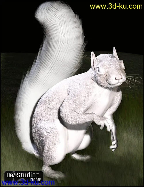 DAZ Squirrel模型的图片2