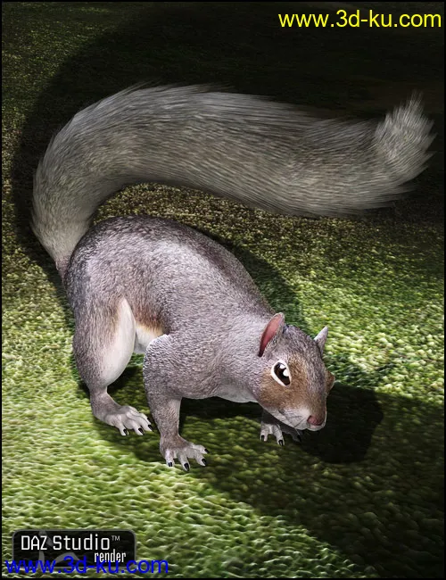 DAZ Squirrel模型的图片3