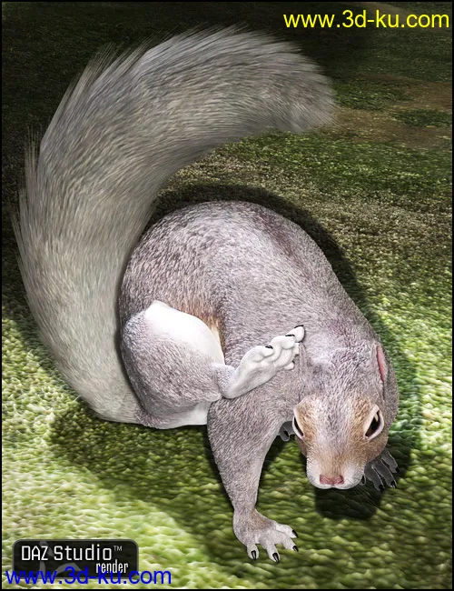 DAZ Squirrel模型的图片4