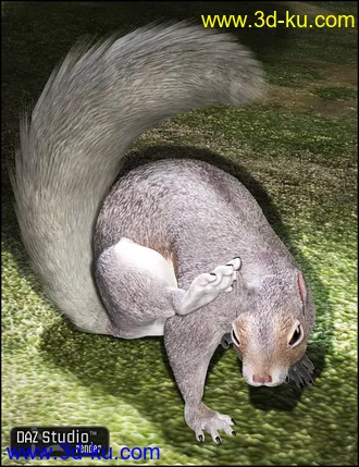 3D打印模型DAZ Squirrel的图片