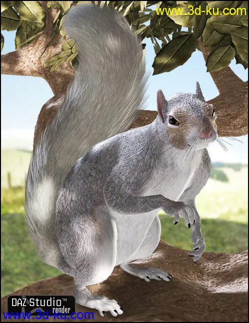 DAZ Squirrel模型的图片5