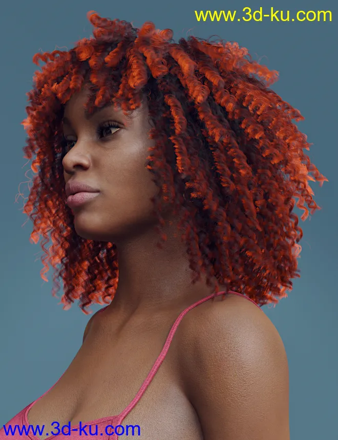 dForce Ayaan Hair for Genesis 8 Females模型的图片2