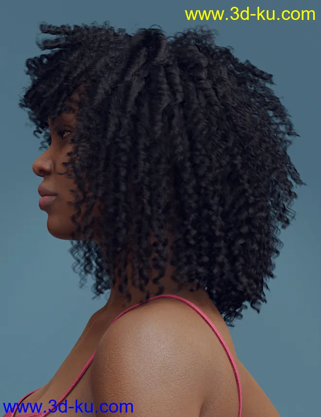 dForce Ayaan Hair for Genesis 8 Females模型的图片3