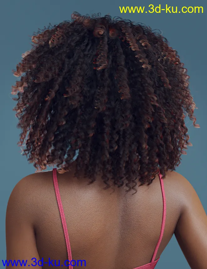 dForce Ayaan Hair for Genesis 8 Females模型的图片4