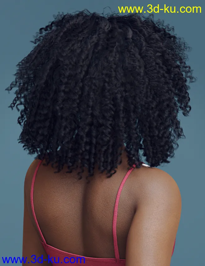 dForce Ayaan Hair for Genesis 8 Females模型的图片5