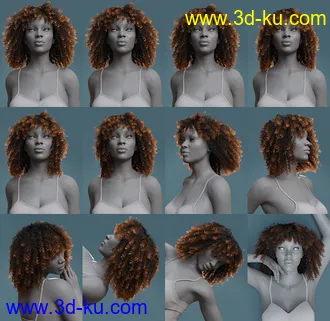 3D打印模型dForce Ayaan Hair for Genesis 8 Females的图片