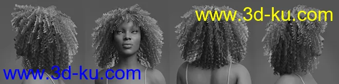 dForce Ayaan Hair for Genesis 8 Females模型的图片11