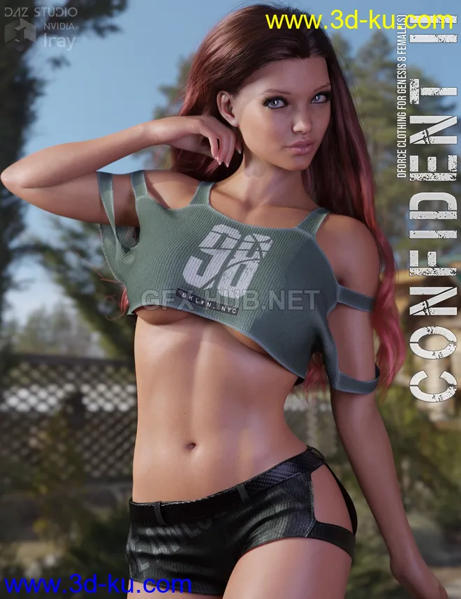 dForce Confident II for Genesis 8 Females模型的图片1