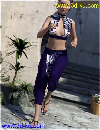 3D打印模型dForce Eastern Wind Outfit for Genesis 8 Females的图片