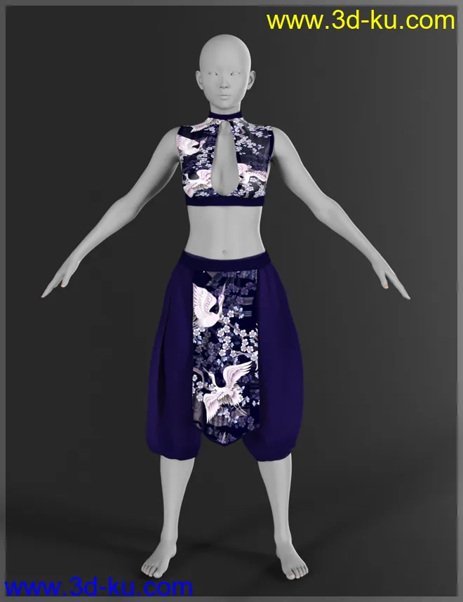 dForce Eastern Wind Outfit for Genesis 8 Females模型的图片14