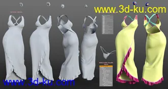 3D打印模型dForce Floral Fiesta Outfit for Genesis 8 Females的图片