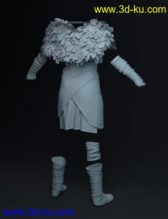 3D打印模型dForce Frida Viking Outfit for Genesis 8 Female的图片