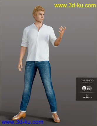 3D打印模型dForce H&C Mandarin Collar Shirt Outfit for Genesis 8 Male(s)的图片