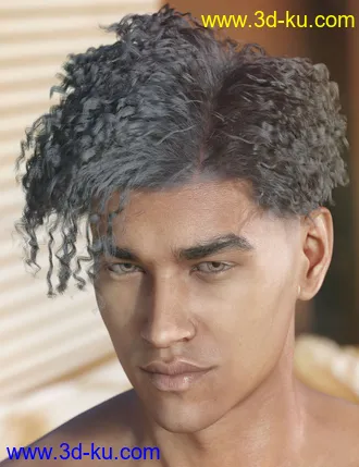 3D打印模型dForce Hayden Hair for Genesis 8的图片