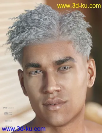 3D打印模型dForce Hayden Hair for Genesis 8的图片