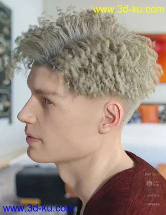 3D打印模型dForce Hayden Hair for Genesis 8的图片