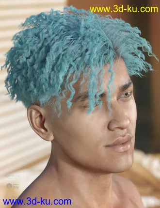 3D打印模型dForce Hayden Hair for Genesis 8的图片