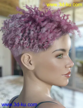 3D打印模型dForce Hayden Hair for Genesis 8的图片